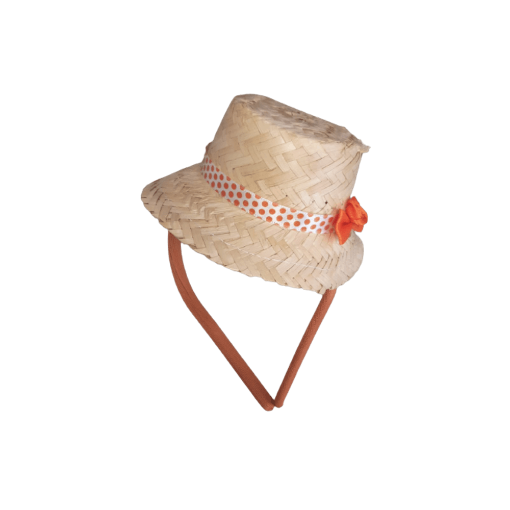 Tiara-Chapeu-de-Palha-1 Tiara-Chapeu-de-Palha-1