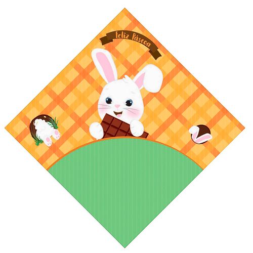 Kit-Envelope-Express-24x24-com-5-und---carber