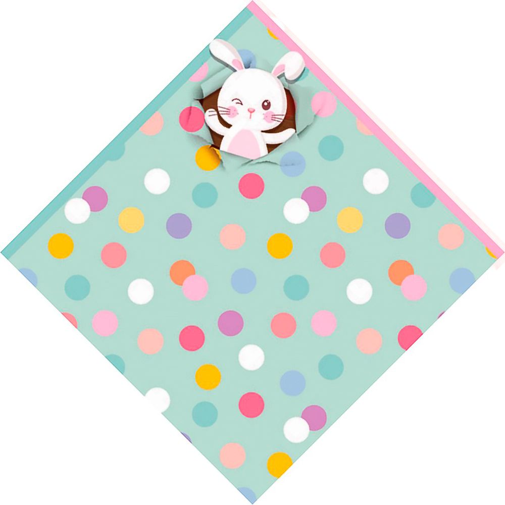 Kit-Envelope-Express-35x35-com-5-und---carber Kit-Envelope-Express-35x35-com-5-und---carber