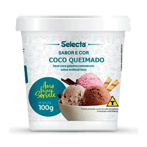 Selecta-Sabor-Sorvete-Coco-Queimado-100g--1-