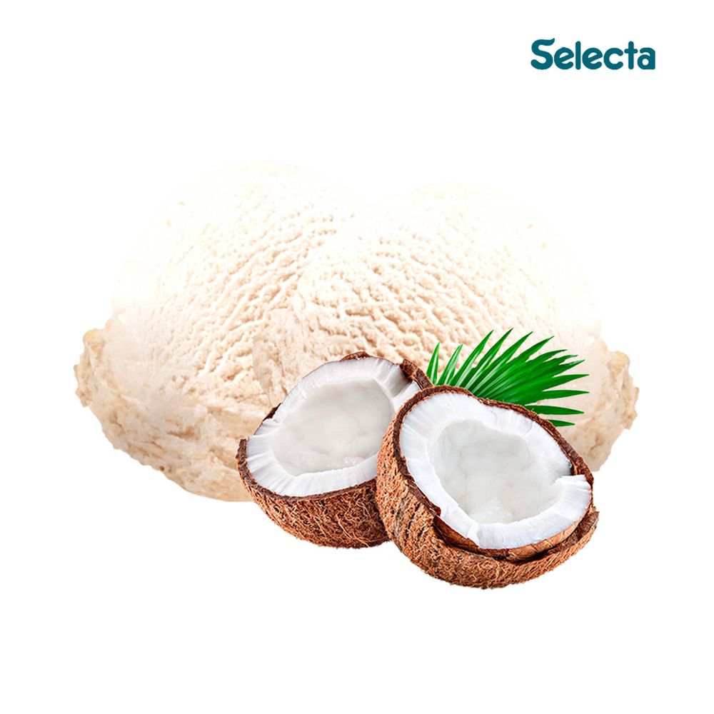Selecta-Sabor-Sorvete-Coco-100g--3-