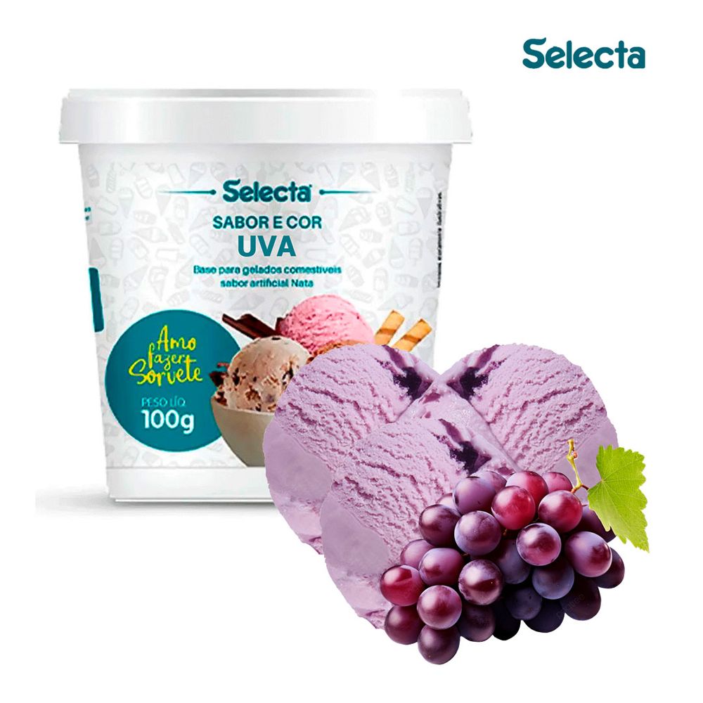 Selecta-Sabor-Sorvete-Uva100g--2- Selecta-Sabor-Sorvete-Uva100g--2-