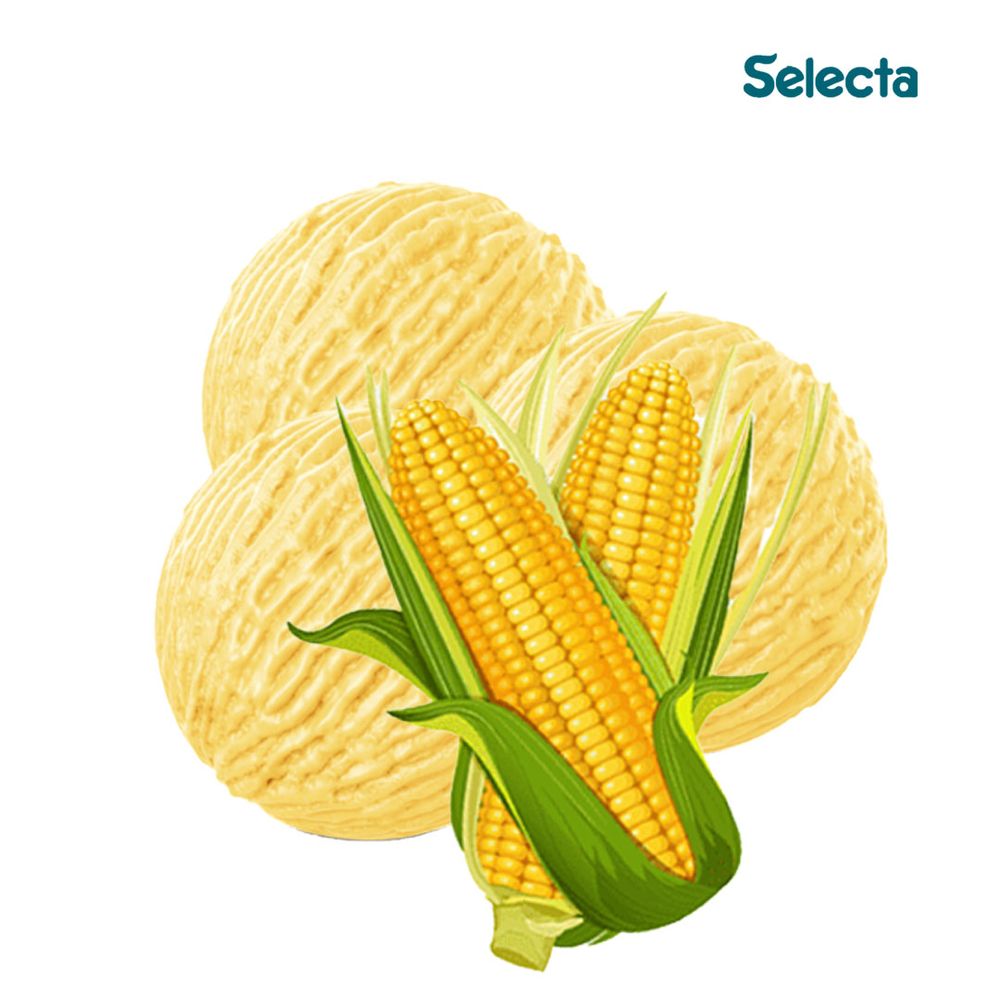 Selecta-Sabor-Sorvete-Milho-Verde-100g--3- Selecta-Sabor-Sorvete-Milho-Verde-100g--3-
