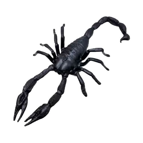 Halloween-Decoracao-Gala-Escorpiao-Grande-1-