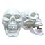 Halloween-Decoracao-Gala-Cranio-cMandibula-Branca-4-