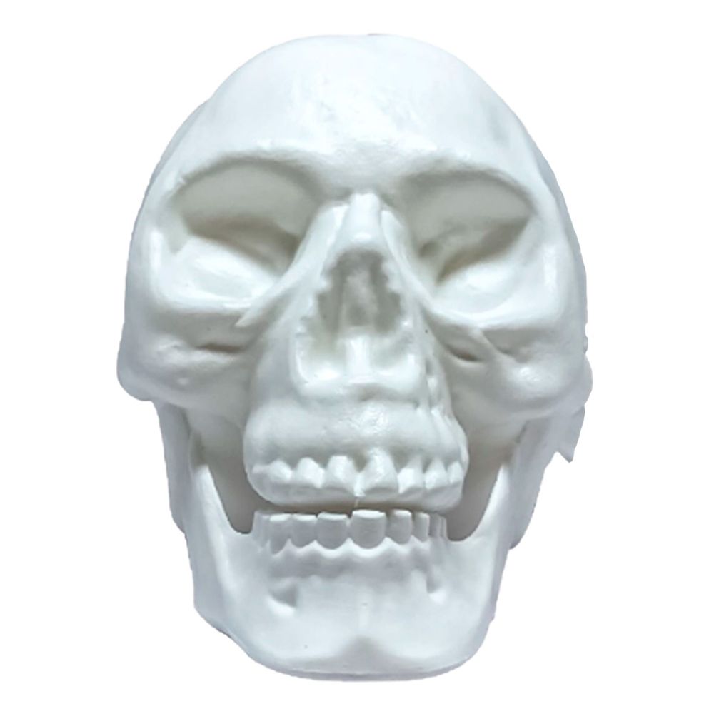 Halloween-Decoracao-Gala-Cranio-cMandibula-Branca-2-