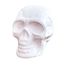Halloween-Decoracao-Gala-Mini-Cranio-Branco-c6-1-