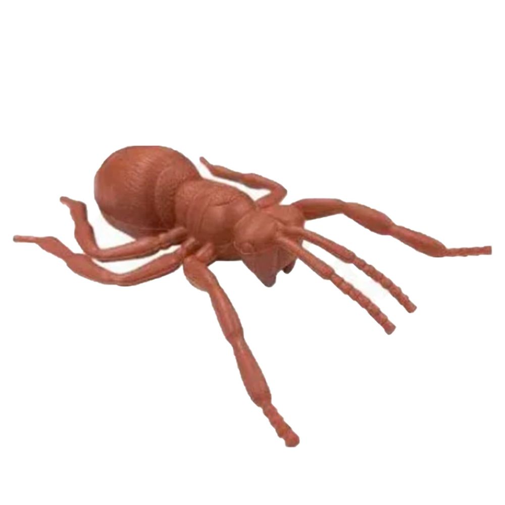 Halloween-Decoracao-Gala-Formiga-Grande-1- Halloween-Decoracao-Gala-Formiga-Grande-1-