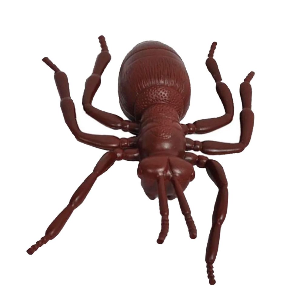 Halloween-Decoracao-Gala-Formiga-Grande-3-