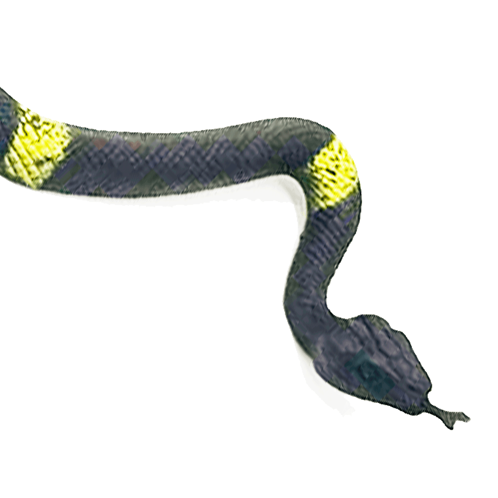 sucuri