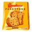 Mini-Panettone-80gr---Bauducco-1-