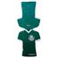 Convite-Palmeiras-c8---Festcolor-1-