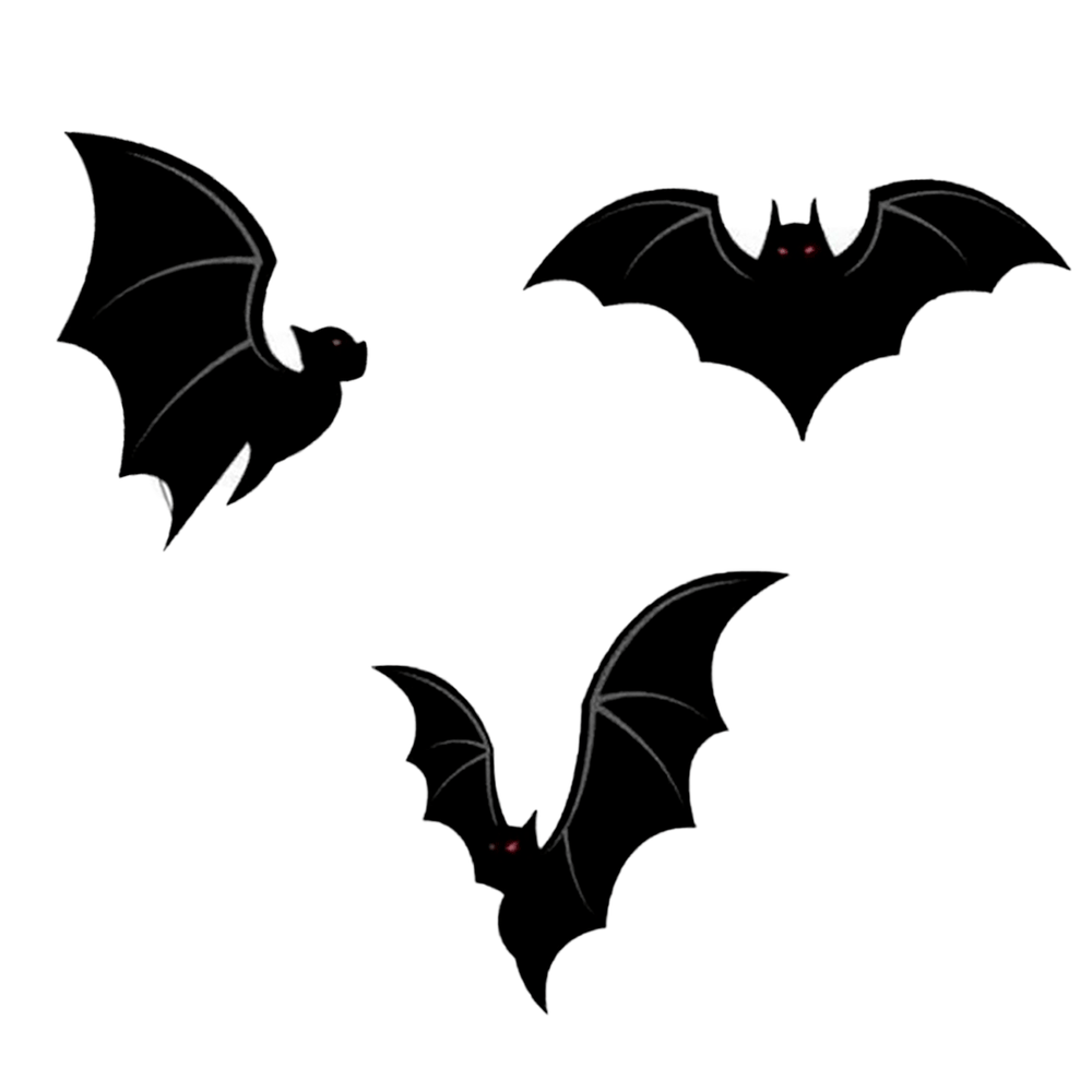 Enfeite-Aranha-e-Morcego-Halloween---Silver-Festas-2-